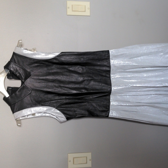 🍁Rudsak Adriana Sleeveless Collared Dress - Picture 8 of 12